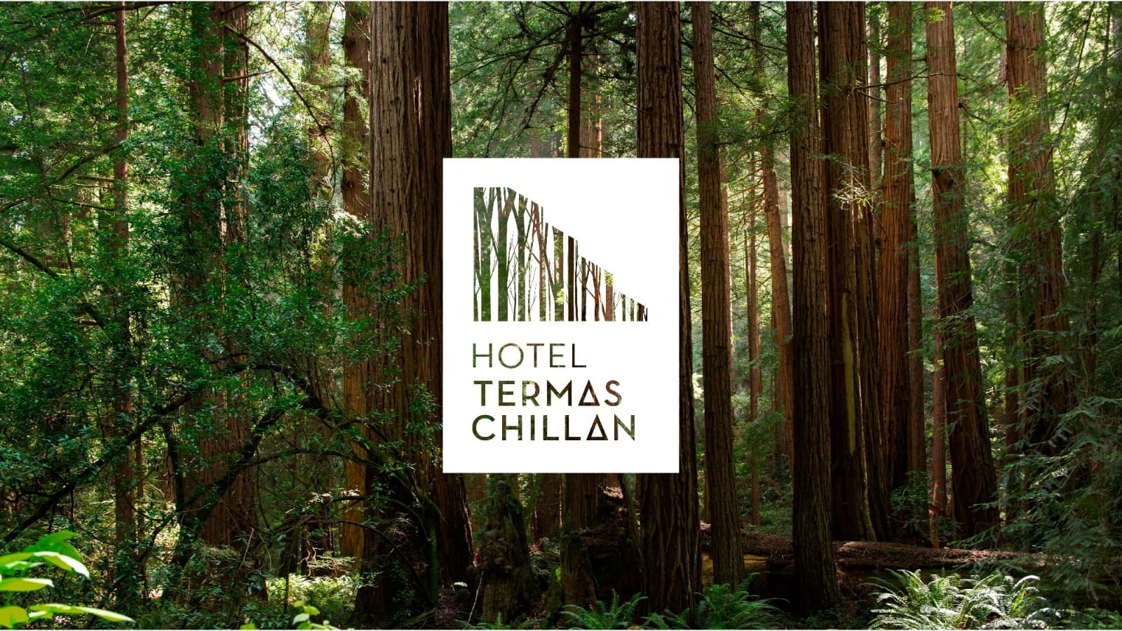Hotel Termas Chillán